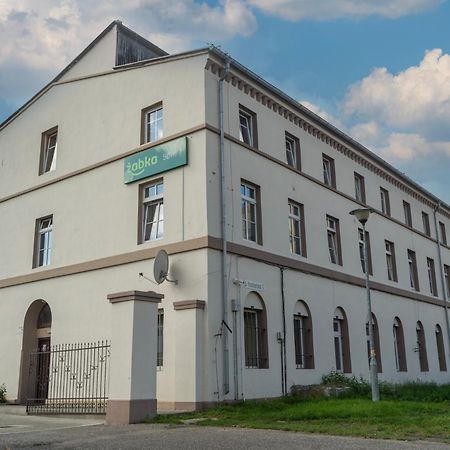 Hostel Krosnienska 12 ジェロナ・グラ エクステリア 写真